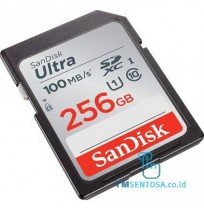 Ultra SDHC 256GB Class 10 [SDSDUNR-256G-GN6IN]